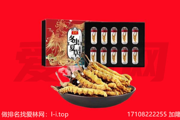 济宁邹城市回收虫草.jpg